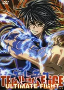 Постер Небо и земля: Бои без правил