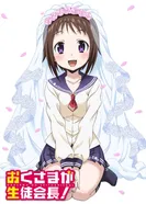 Постер Моя жена — президент студенческого совета!